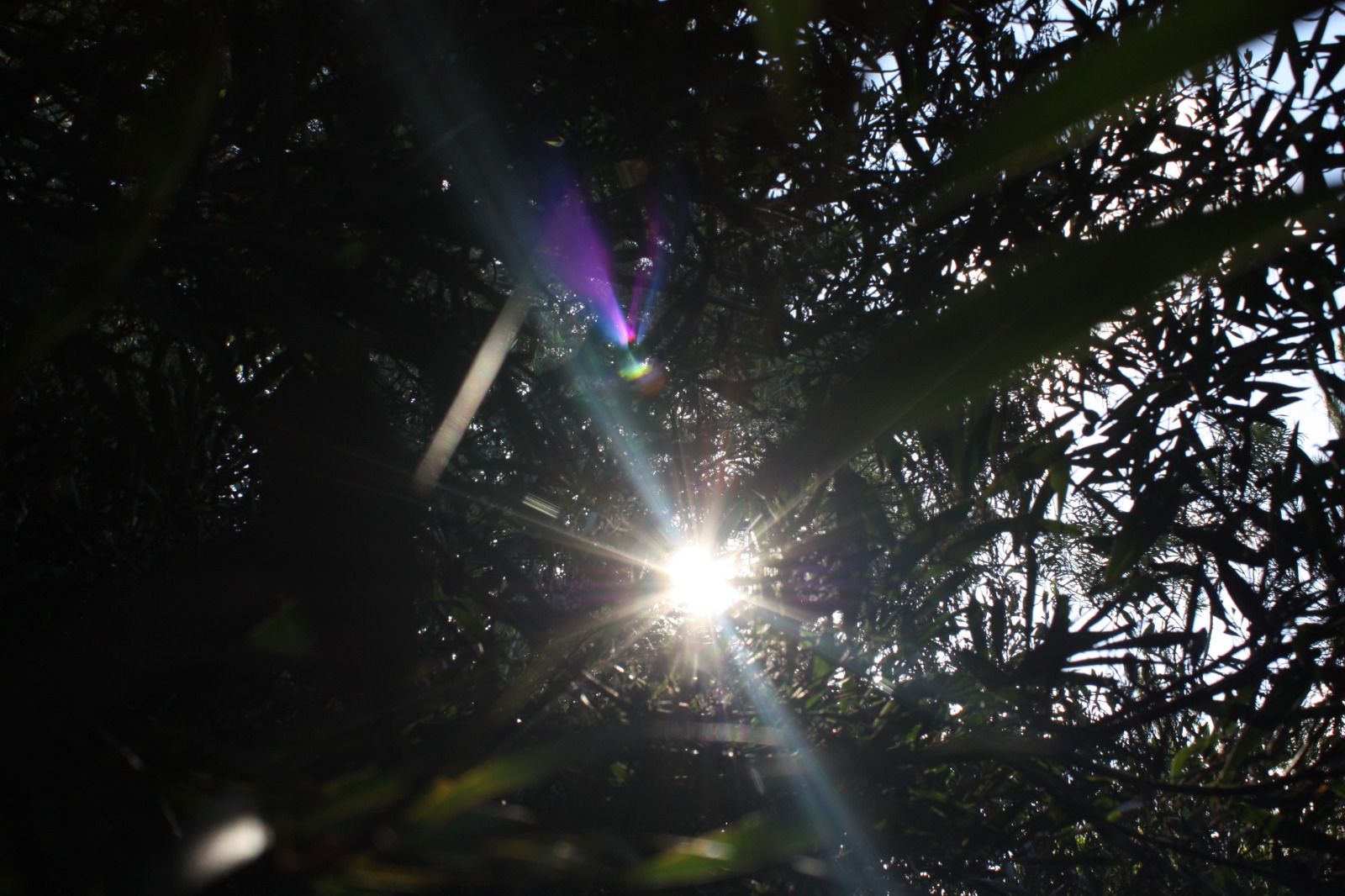 test