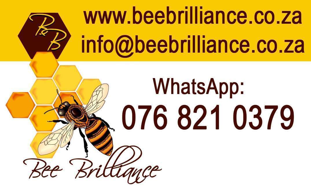 BeeBrilliance